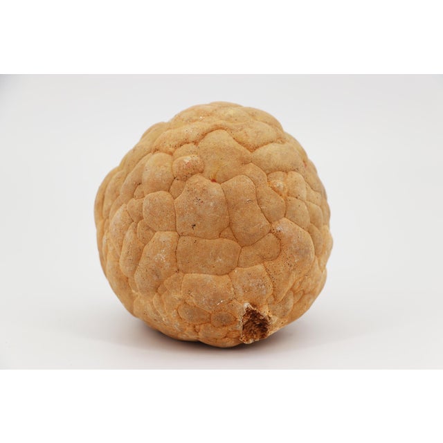 Rustic European Cerebroid Silex, Middle Jurassic, Iberian Peninsula For Sale - Image 3 of 16