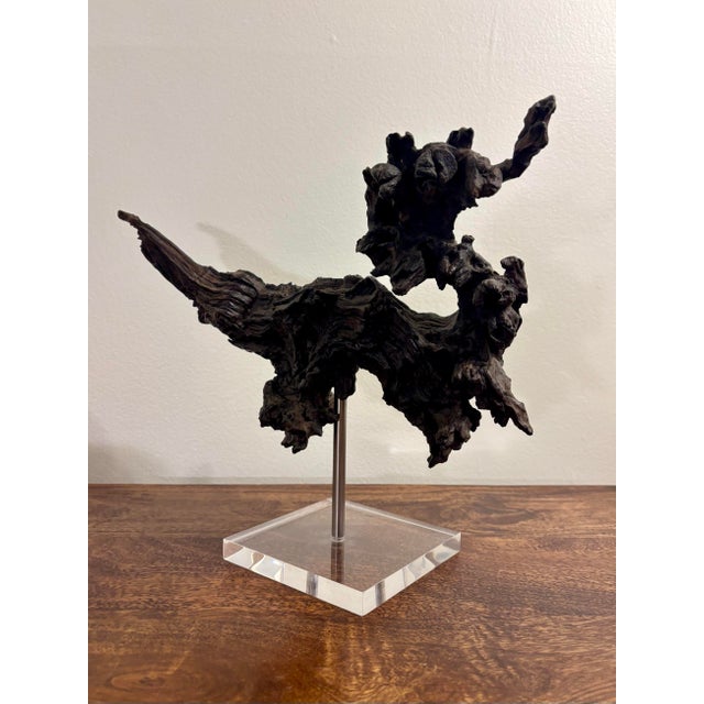 Wood Vintage Natural Burl Wood Abstract Dragon Sculpture on Lucite Base, Coastal Modern For Sale - Image 7 of 9