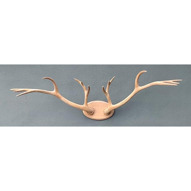 Vintage Carved Wood Antler Wall Mount For Sale - Image 12 of 14
