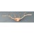 Vintage Carved Wood Antler Wall Mount For Sale - Image 12 of 14