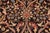 Textile Shabby Chic Brown/Tan Wool Rug - 9'1'' X 11'0'' For Sale - Image 7 of 10