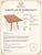 Mid-Century Modern Italian Coffee Table attributed to Gio Ponti for Isa Bergamo, 1950s For Sale - Image 6 of 8