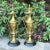 Metal Late 19th Century Etruscan Bronze Doré Antique Urns on Marble Bases - a Pair For Sale - Image 7 of 10