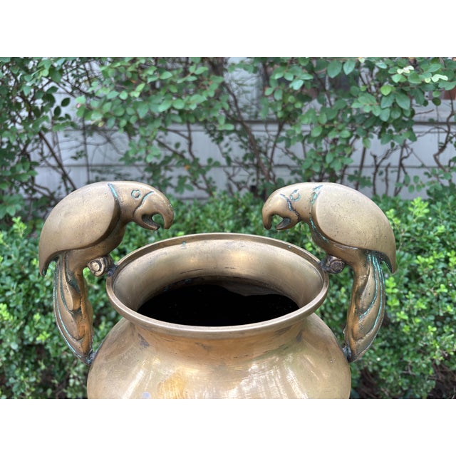 Dolbi Cashier Dolbi Cashier Brass Vase With Parrots. For Sale - Image 4 of 11