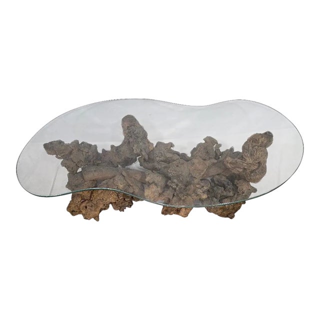 Vintage Root Coffee Table With Glass Top For Sale