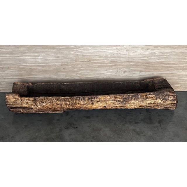 Spanish Antique & Brutalist Hollowed Out Tree Trunk Wooden Planter, 1700 For Sale - Image 11 of 12