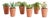 Potted Succulents 8.5", Set Of 6 For Sale