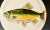 Carole Moses Harman Hand-Painted Pottery Dish, Arctic Char, Dated 1987 American, dated June 1987 This large circular...