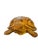 Monumental ceramic tortoise sculpture measuring an impressive 47 inches in length — a rare and eye-catching decorative...