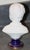 1900 - 1909 1900s Gorgeous Camille Tharaud (1878-1956) Limoges Bisque Bust of Alexandre Brongniart For Sale - Image 5 of 7