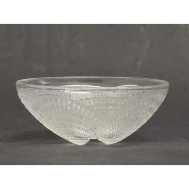 Art Deco Shell Bowl attributed to René Lalique, 1920s For Sale - Image 6 of 6
