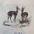 Super high quality in this lovely historical French 18th Century la gazelle "the gazelle" engraving! Signed V. Adam del...