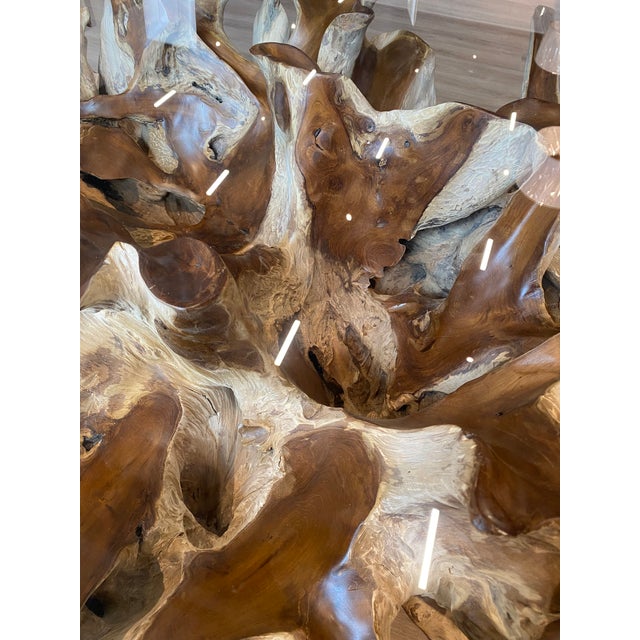Teak Root Ball Base Glass Top Coffee Table Lg For Sale - Image 10 of 10