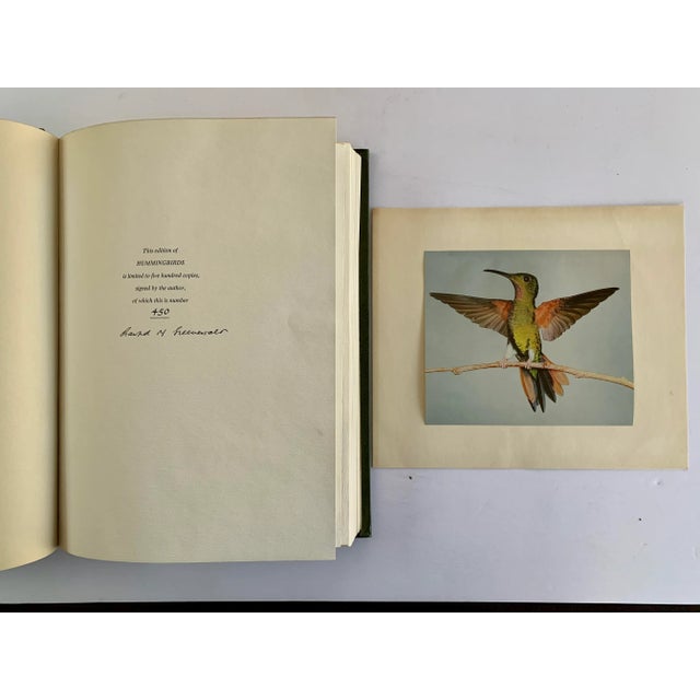 American 1960s Hummingbirds, Crawford. H Greenewalt, Limited Edition, Signed Book For Sale - Image 3 of 6