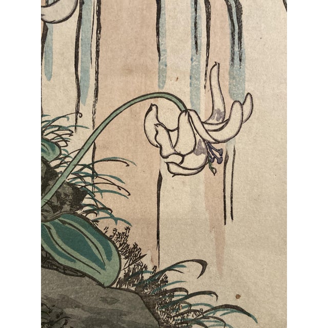 Nakayama Sūgakudō, Woodpecker and Erythronium Japonicum, 1859, Print For Sale - Image 7 of 13