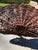 Burnt Umber Vintage French Style Wicker Flower Basket For Sale - Image 8 of 10