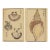 Vintage Japanese Seashell Studies Diptych, Woodblock Print Reproduction Set, 40" X 60" For Sale