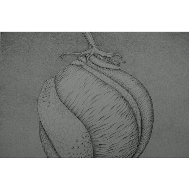 Contemporary Gochka Charewicz, Avant la naissance, Lithograph For Sale - Image 3 of 8