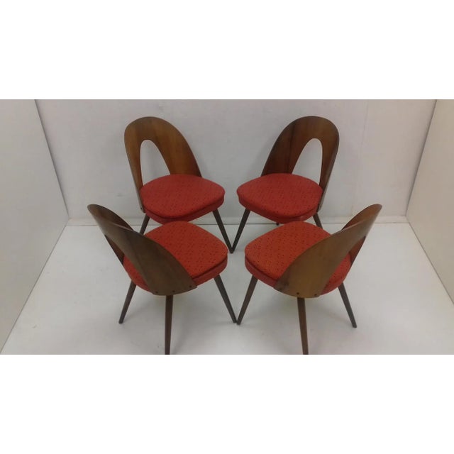 Dining Chairs by Antonín Šuman, 1960s, Set of 4 For Sale - Image 4 of 11