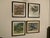 1917 Vintage DuPont Promotional Game Bird Framed Prints by Hunt & DeFeo - Set of 4 For Sale - Image 9 of 13