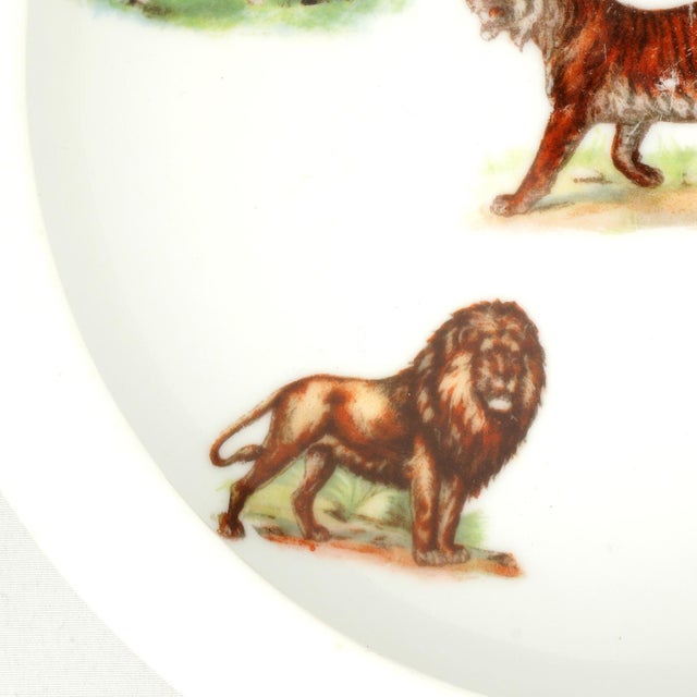 Early 20th Century Antique German Illustrated Child's Dish Animal Full Color Early 1900s For Sale - Image 5 of 10