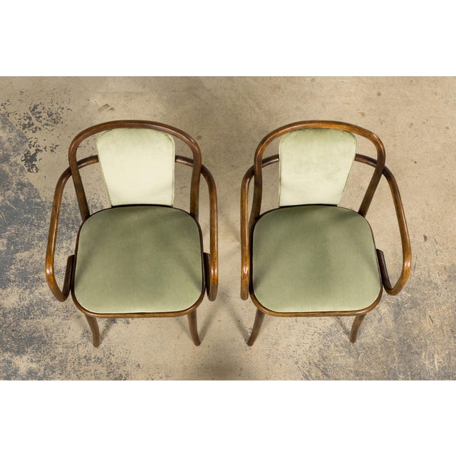 1950s 1950s Thonet Bentwood Armchairs in Willow Green Velvet – Pair For Sale - Image 5 of 18