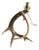 1950s Antler Table Lamp For Sale