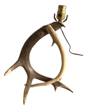 1950s Antler Table Lamp