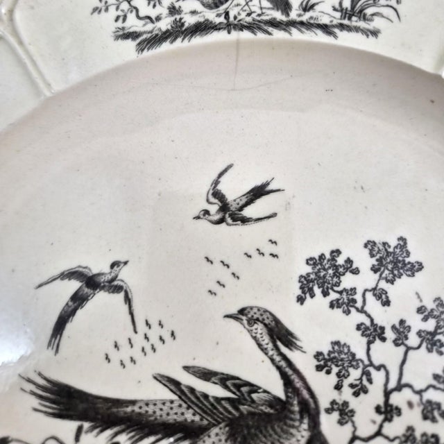 18th Century Creamware Liverpool Birds Plates from Leeds Pottery of Hunsle, 1770s, Set of 2 For Sale - Image 5 of 12