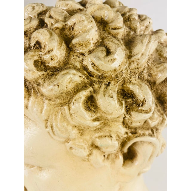 Alabaster Mid 20th Century Classical Greco Roman Plaster Bust For Sale - Image 8 of 10