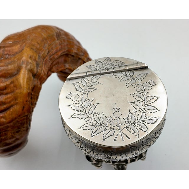 Ram’s Horn Snuff Mull Scottish, Circa 1890 For Sale In San Francisco - Image 6 of 12