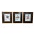 Set of 3 Framed Botanical Fruit Prints – Classic Wall Art Decor For Sale
