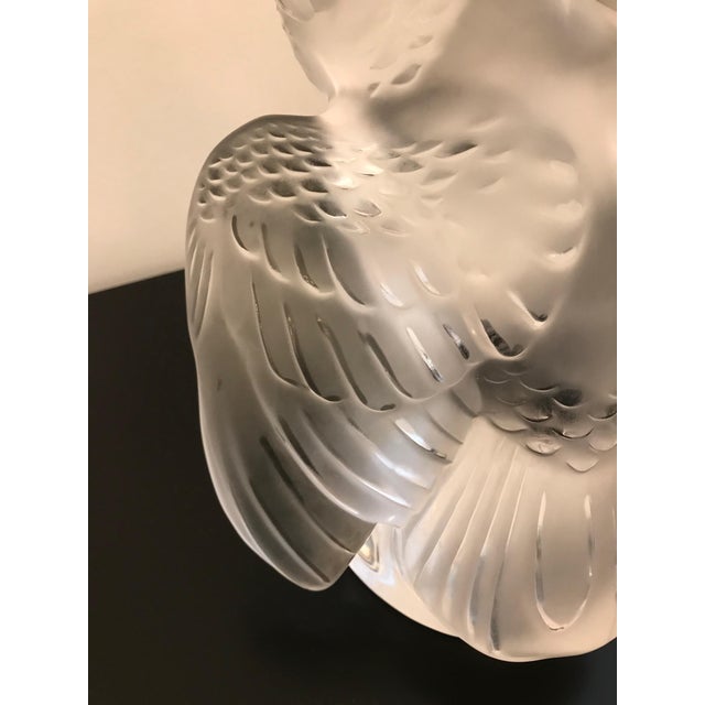 Lalique Crystal Sculpture Cockatoo Bird For Sale - Image 10 of 13