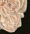 Contemporary Whispers of White by Robin Hextrum | Oil on Panel White Flower Still Life For Sale - Image 3 of 7