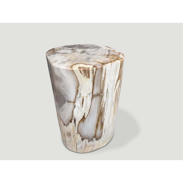 2010s Andrianna Shamaris Ancient Petrified Wood Side Table For Sale - Image 5 of 6