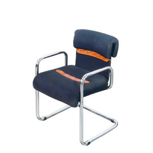 Chairs by G. Faleschini for Mariani, Set of 2