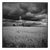 Paul Cooklin, Happisburgh Lighthouse I, Norfolk, Edition of 50 For Sale