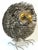 Large Brutalist Metal Work Figure of an Owl, Attributed Sergio Bustamante For Sale - Image 9 of 13