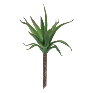 Succulent Plant Pick (Set of 6) For Sale