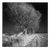 Paul Cooklin, West Thorpe IV, Suffolk, 2013, Edition 4/10 For Sale