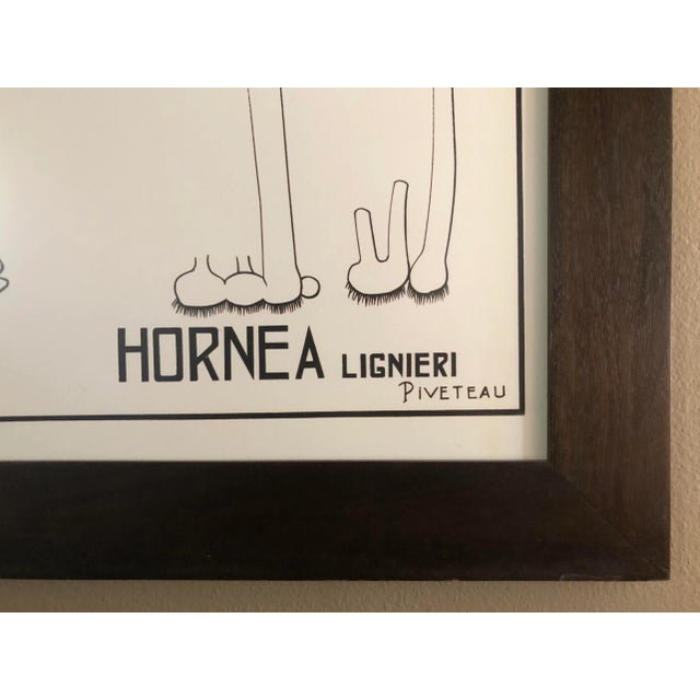 Large French Botanical Chart and Frame by Dr. Auzoux, Paris 1950's For Sale - Image 4 of 9