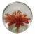 Vintage Round Paperweight With Orange Flower For Sale