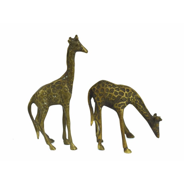 Bring a touch of the savannah into your home with this charming set of two vintage brass giraffe figurines. These solid...