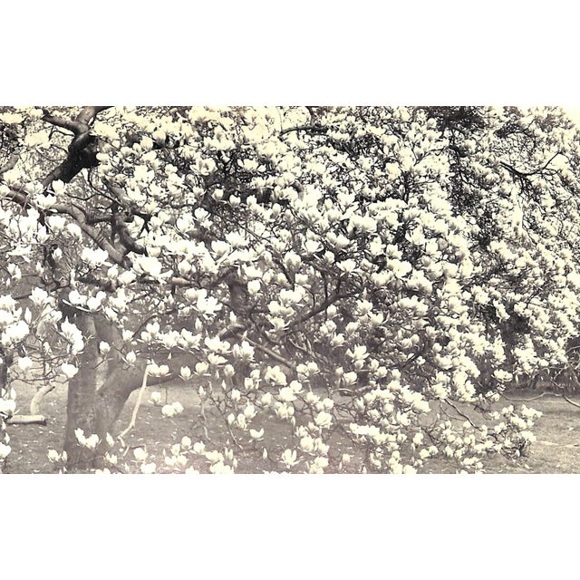 "In Your Garden Again" 1953 Sackville-West, V. For Sale - Image 10 of 10