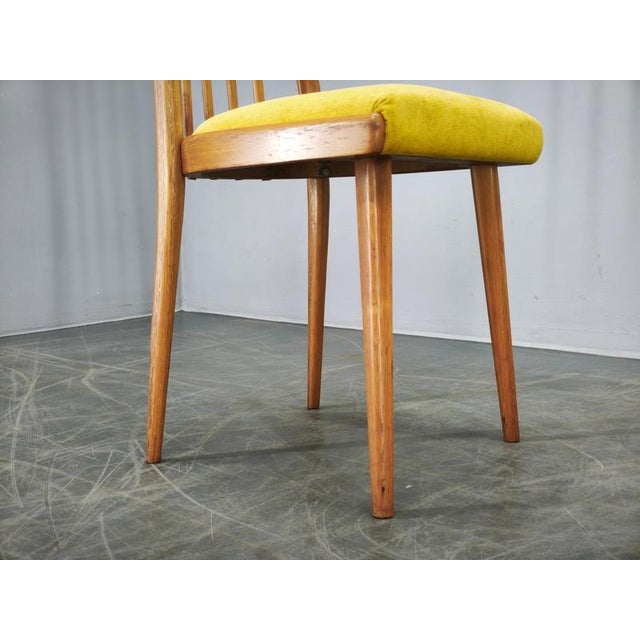 Gold Mid-Century Modern Beech Dining Chairs from TON, Czechoslovakia, 1970s, Set of 4 For Sale - Image 8 of 16
