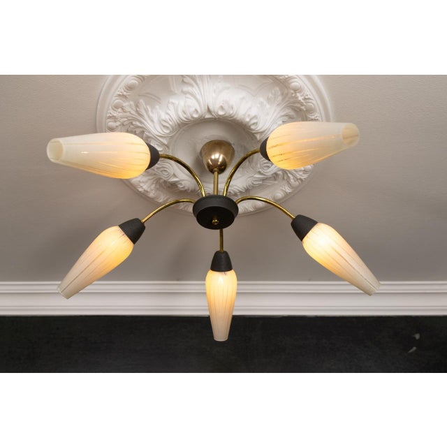 Mid-Century Modern German Sputnik Chandelier, 1950s For Sale - Image 11 of 18