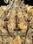 19th C. French Beaded Crystal Basket Chandelier For Sale - Image 4 of 8