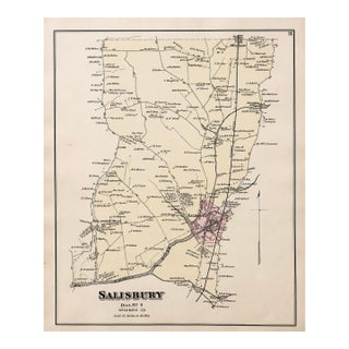 Salisbury, Maryland, & Rocawakin Mills Original Map, 1877 For Sale