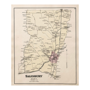 Salisbury, Maryland, & Rocawakin Mills Original Map, 1877