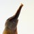 Late 20th Century Vintage Carved Horn Elephant For Sale - Image 5 of 9